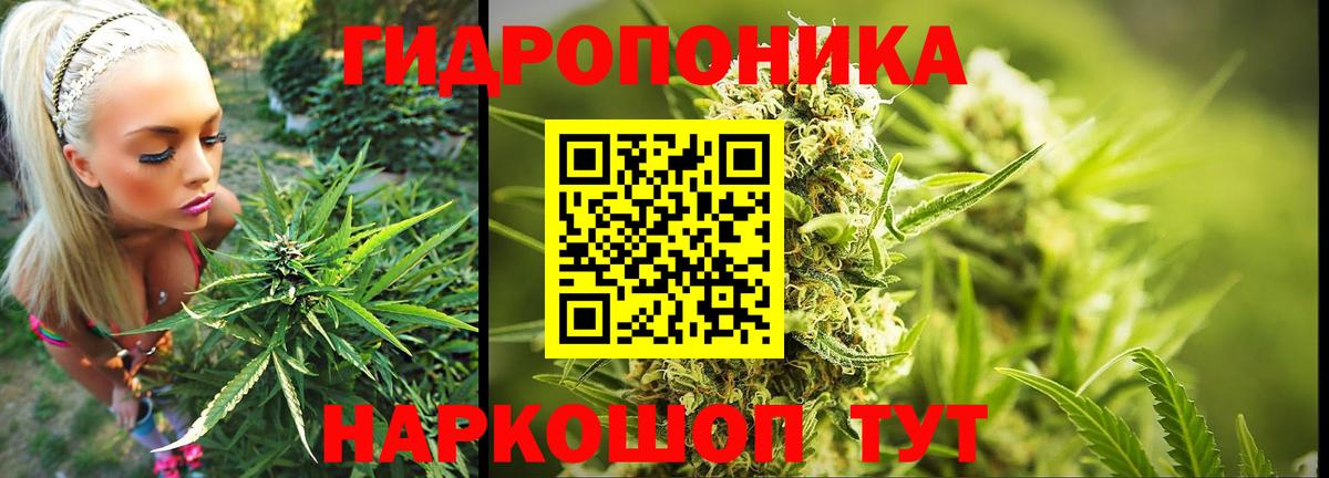 МАРИХУАНА White Widow  Вход с VPN  Марихуана White Widow  Конопля план  Невинномысск 
